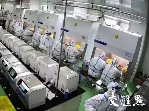 gps轉(zhuǎn)運箱 核酸檢測小程序 戰(zhàn)疫儀器共享 科技助力江蘇抗疫