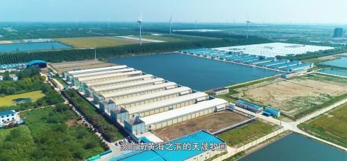 敬請(qǐng)期待江蘇天成科技集團(tuán)微紀(jì)錄片正式播出