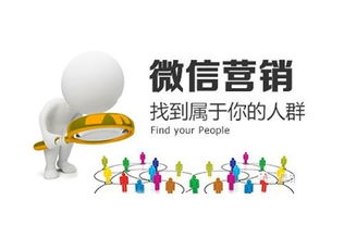 江蘇正規微信小程序報價 樹先生供應