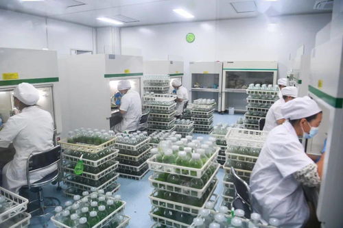 曹路寶深入響水縣開展 兩在兩同 建新功行動時(shí)強(qiáng)調(diào) 身體走進(jìn)基層,思想走進(jìn)群眾,工作走進(jìn)實(shí)際,讓黨旗高高飄揚(yáng)在鹽阜大地基層一線 項(xiàng)目