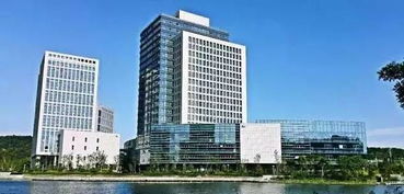 解馬 仙林, 醉美 賽道看過來