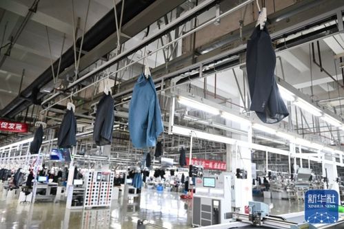 向 新 而行,紅豆集團高質量發展 引擎 強勁