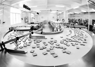 南陽日報多媒體數(shù)字報刊平臺,南陽日報多媒體數(shù)字報刊平臺,南陽,南陽日報,南陽網(wǎng),南陽社區(qū)