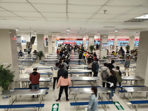 江蘇科技大學什么時候換新校區