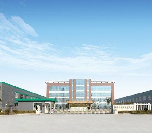 江蘇揚(yáng)電科技 上游依賴與資產(chǎn)縮水下的困境